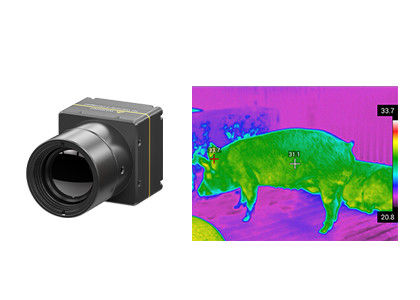 Module non refroidi de formation d'images thermiques de LWIR 640x512/12μm pour l'élevage futé