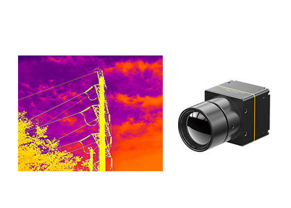 Le module 640x512 de formation d'images thermiques de LWIR Vox a intégré dans la caméra infrarouge