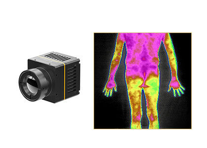 Non module non refroidi 384x288 17μM de formation d'images thermiques de thermographie de contact