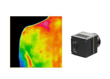 noyau infrarouge de caméra de 384x288 17um pour la thermographie médicale