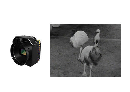 Module de caméra de sécurité thermique infrarouge non refroidi avec lentilles multiples