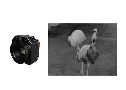 Module de caméra de surveillance de sécurité thermique infrarouge non refroidi avec lentille optionnelle