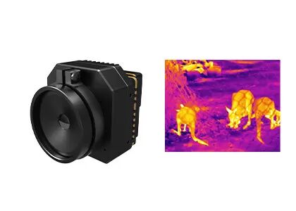 Module non refroidi de caméra de formation d'images thermiques 640x512 17μm pour l'observation animale